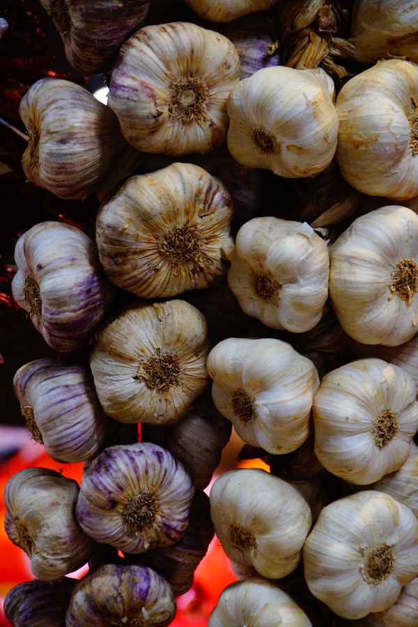 Knoblauch vom Markt