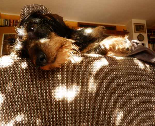 Chillen in der Sonne