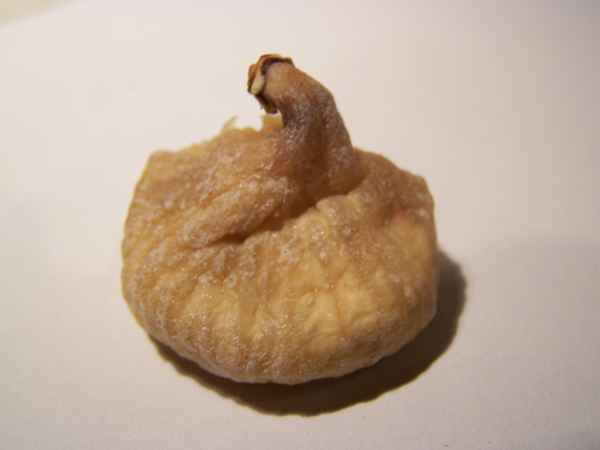 Feige getrocknet
