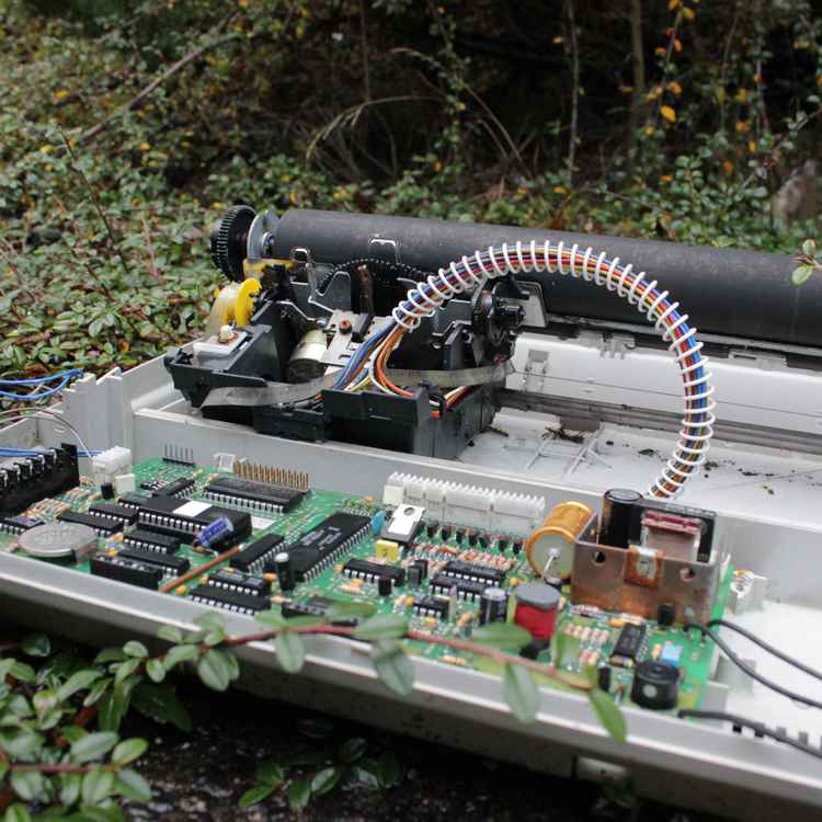 Schreibmaschine im Grünen