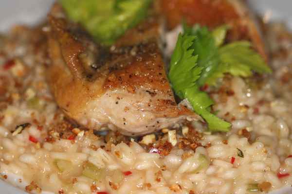 Perlhuhn auf Risotto 2