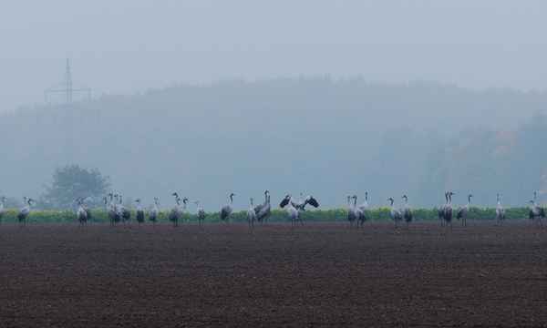 der nebel lichtet sich