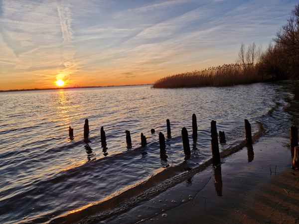 An der Elbe