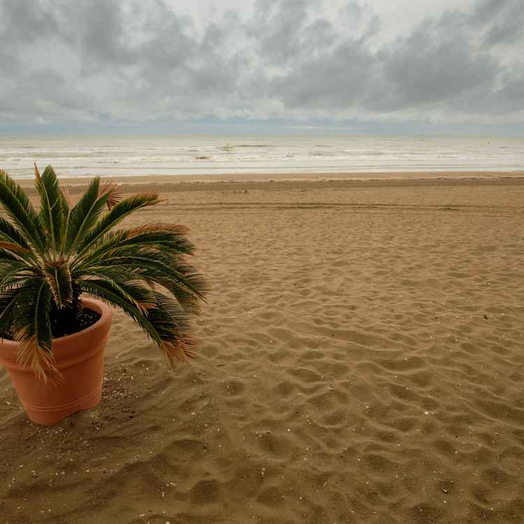 Adriastrand bei Cavallino