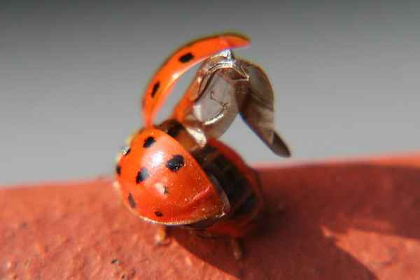 Ich packe da mal was aus!