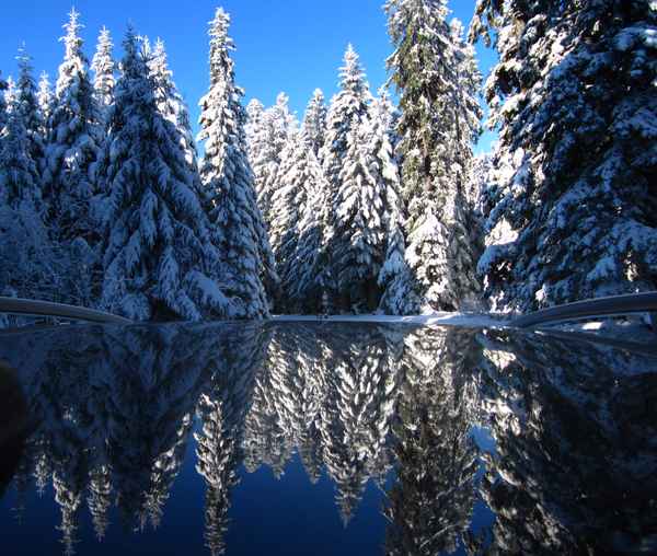 Das Auto (-dach) im Winter