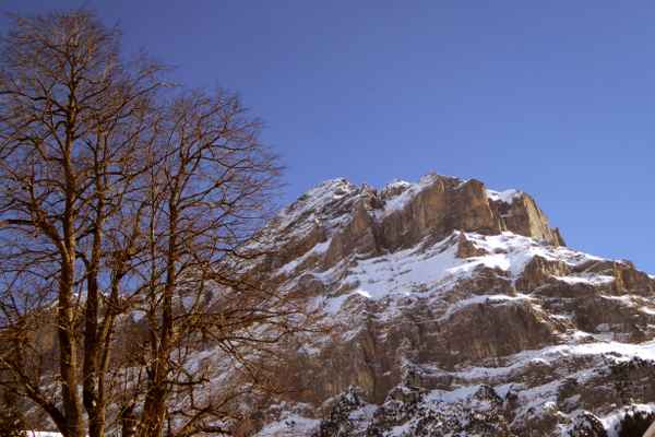 Das Wetterhorn am Abend
