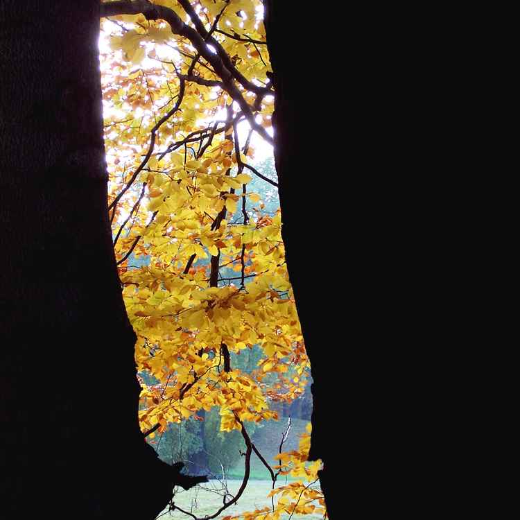 Durchblick