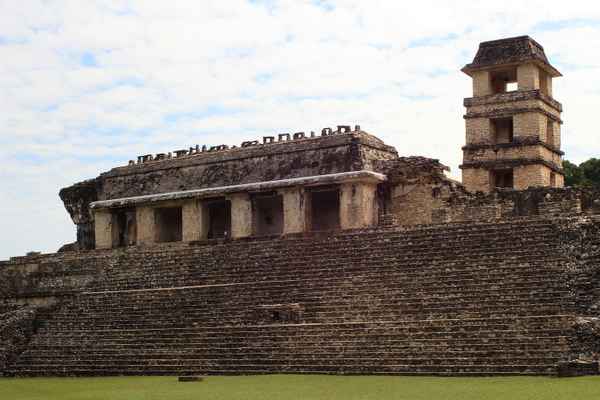 Palenque 8