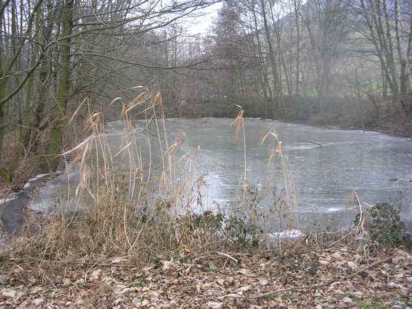 Winter am See