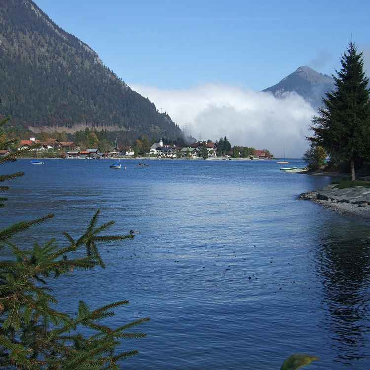 Herbstnebel am Walchensee