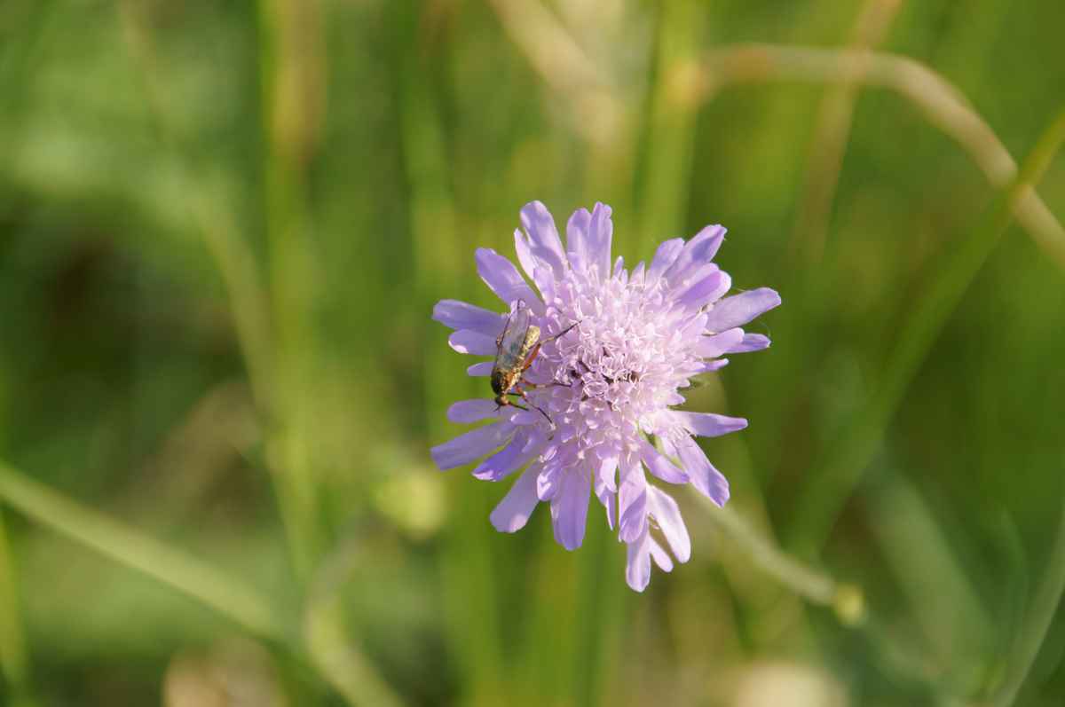 Gefunden