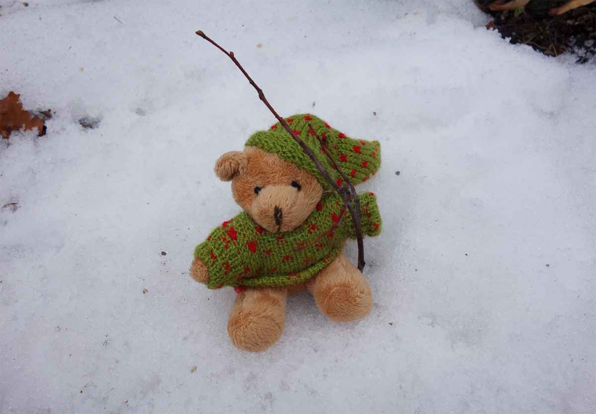 Teddy im Schnee