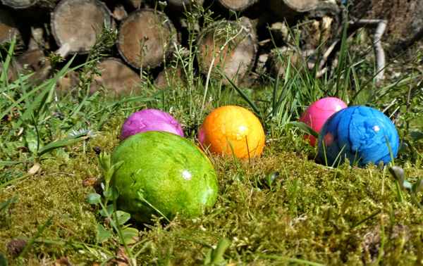 Vom Osterhasen verloren
