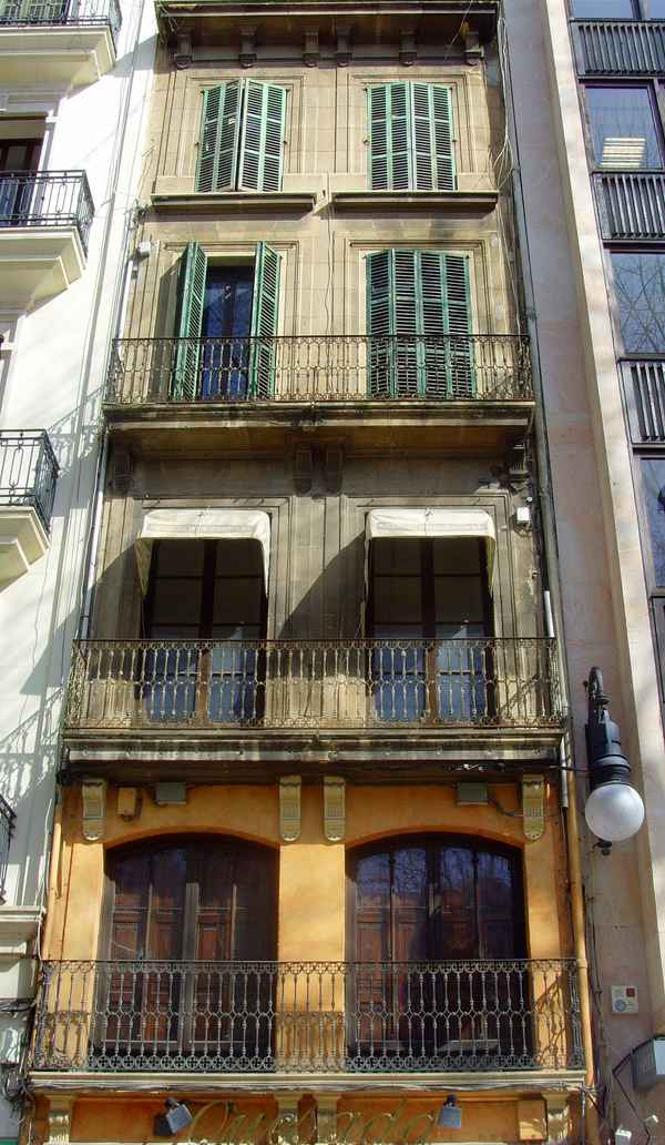 Palma mit offenen Augen sehen