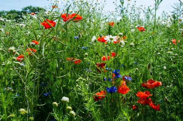 Malerische Natur