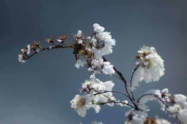 Warten auf den Frühling