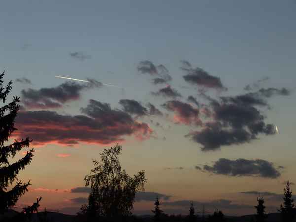 Wohin geht die Reise?