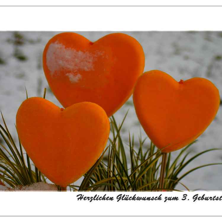 Herzlichen Glückwunsch zum 3.