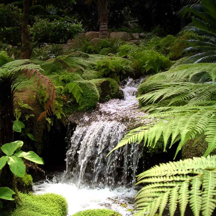 Wasserfall im Urwald
