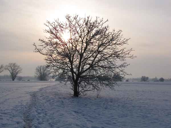 Bei Sonnenaufgang unterwegs