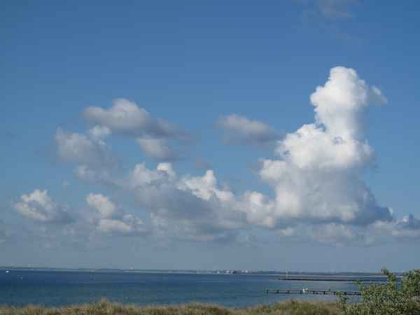 Hund mit seinen Wölkchen.