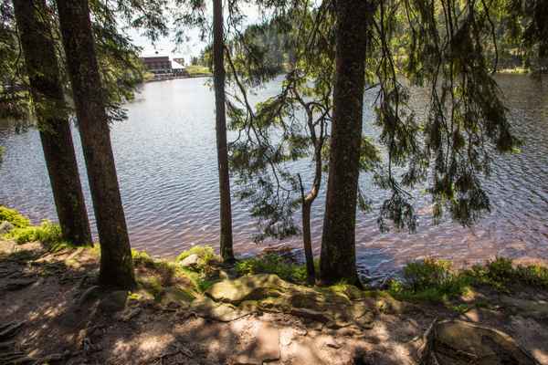 Rundweg am Mummelsee, Schwarzwald 3