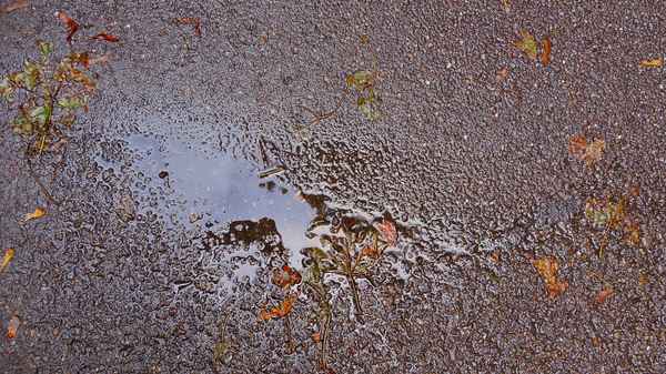 Regenwetter