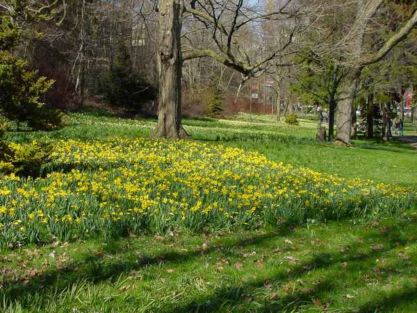 Ostern 2006 im Frühlingsgewand