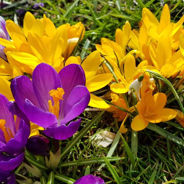German spring 2018  - Frühling in Deitschland 2018