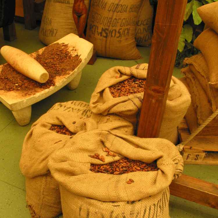 Kakaobohnen in Säcken