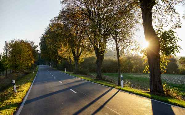 Straße im Sonnenschein