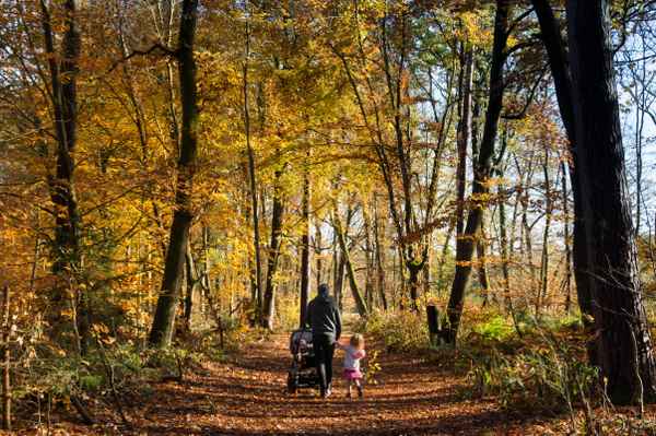 Herbstspaziergang mit Daddy