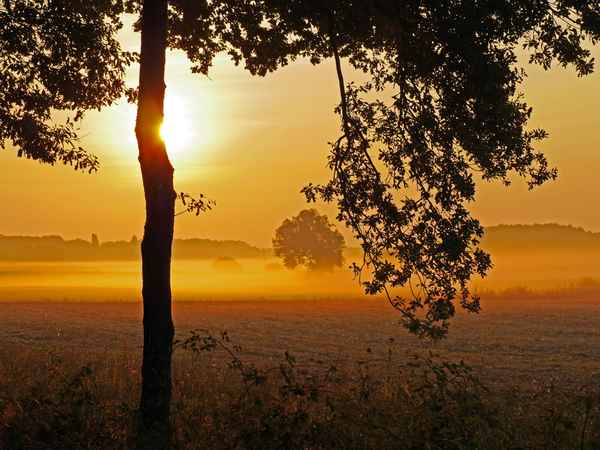 Die Sonne kämpft sich durch