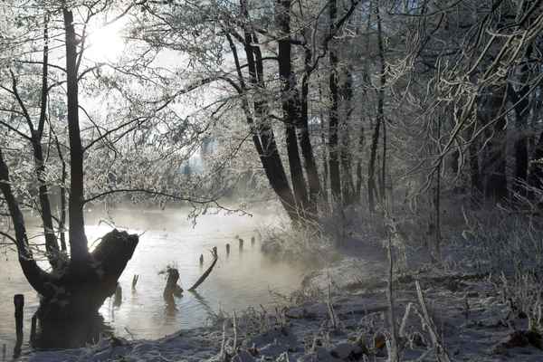 winter an der Spree