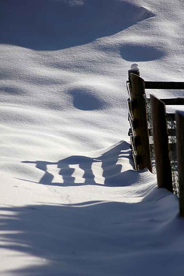 Der Winterzaun