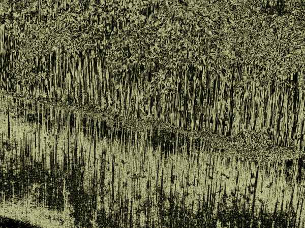 prasselnder Regen, springende, tanzende Tropfen