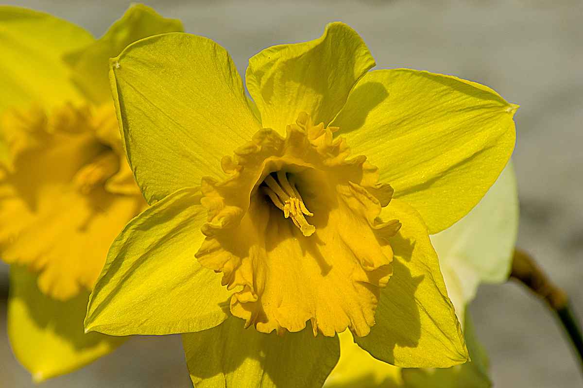 Endlich Frühling