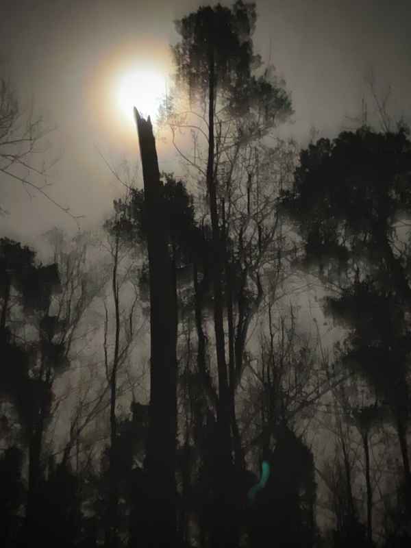 November Melancholie