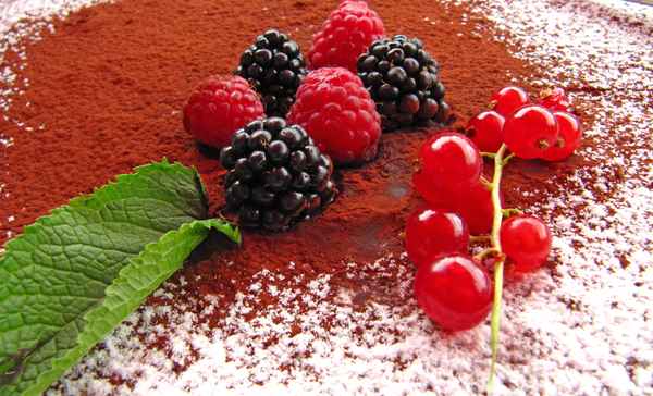 Tiramisu mit Frucht-Deko 3