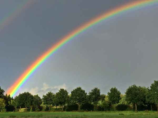 Nach der Sintflut...