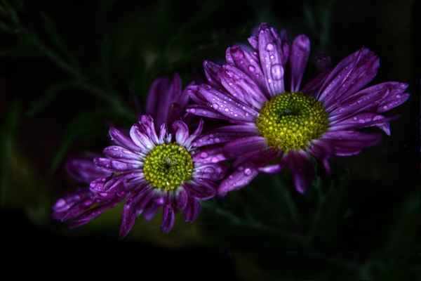 Herbst ist auch Regen