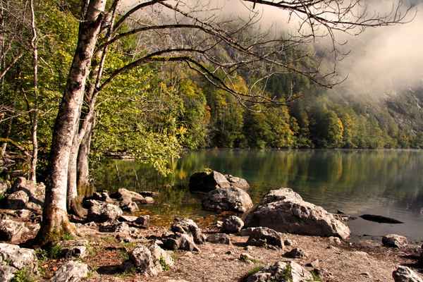 Herbst am Obersee Bild 1