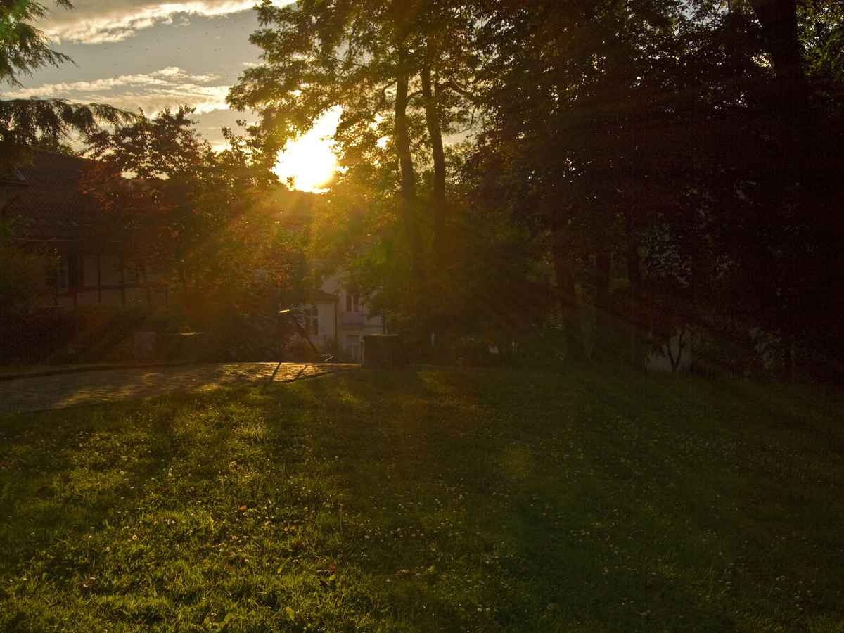 Sonnenuntergang im Park