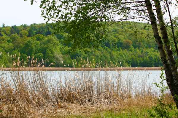 Reihersee 2