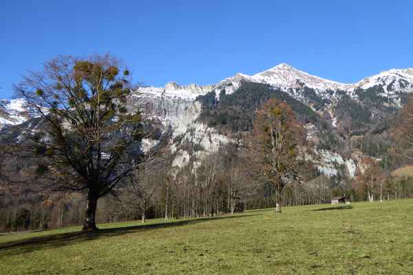 Brienzer Rothorn-Gruppe