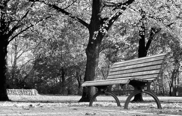 Parkbank im Herbst