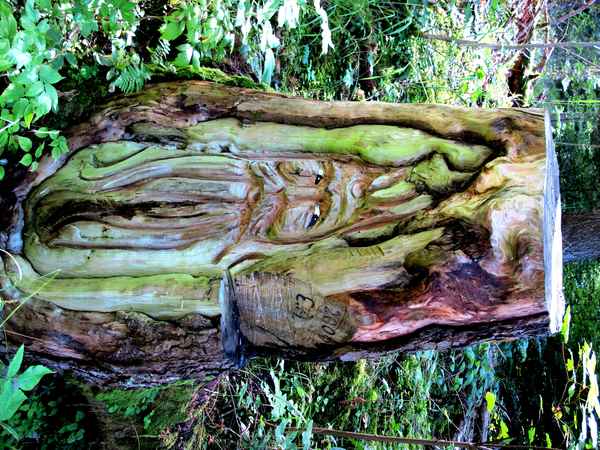 Kunst im Wald