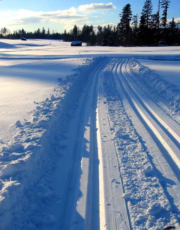 Loipe frisch gespurt im Abendlicht