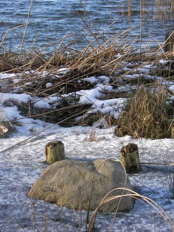 Wasser zu Eis